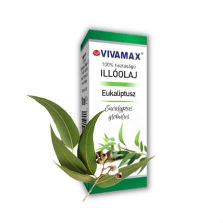 Eukaliptusz 100%-os tisztaságú illóolaj (10 ml) Vivamax